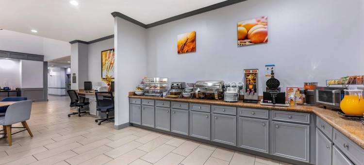 舒适套房酒店(Comfort Inn & Suites)图片