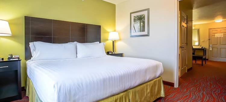 智选假日套房酒店焦糖(Holiday Inn Express & Suites Indianapolis North - Carmel)图片