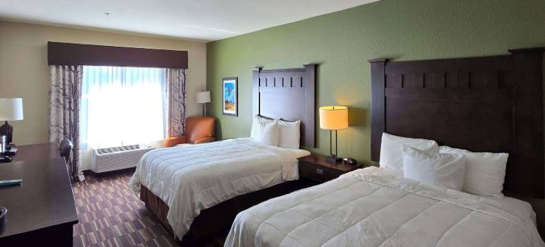 舒适套房酒店(Comfort Inn & Suites)图片