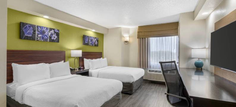 布希花园附近舒眠酒店-USF(Sleep Inn Near Busch Gardens - USF)图片
