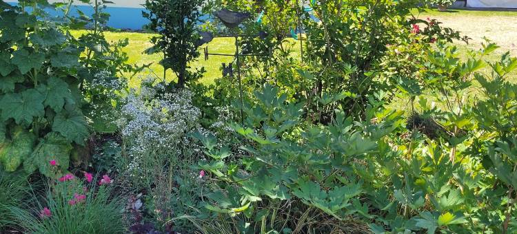 Holiday Home Alsace near Vosges Nature Park图片