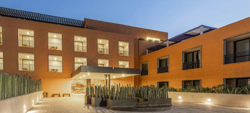 克莱维亚，圣米格尔-德阿连德，傲途格精选(Cleviá, Autograph Collection, San Miguel de Allende)图片