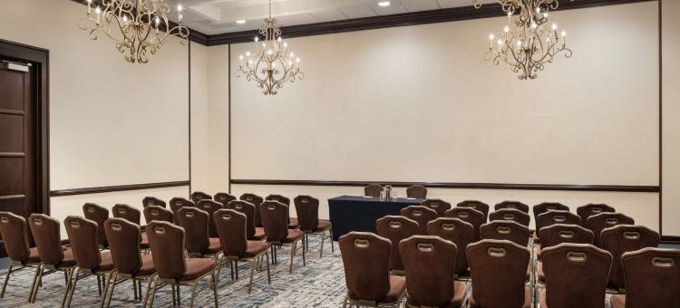 新奥尔良希尔顿安泊酒店(Embassy Suites by Hilton New Orleans)图片