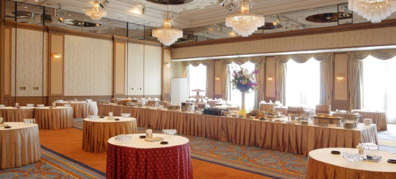 筑波日航酒店(Hotel Nikko Tsukuba)图片