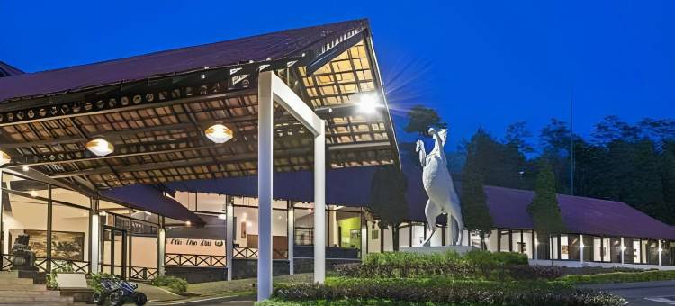 布罗莫格兰德威兹酒店(Grand Whiz Hotel Bromo)图片