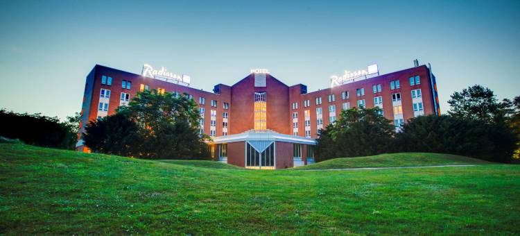 卡尔斯鲁厄丽笙酒店(Radisson Blu Hotel, Karlsruhe)图片