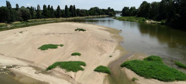 开花的卡斯特尔酒店(Castel Fleuri)图片