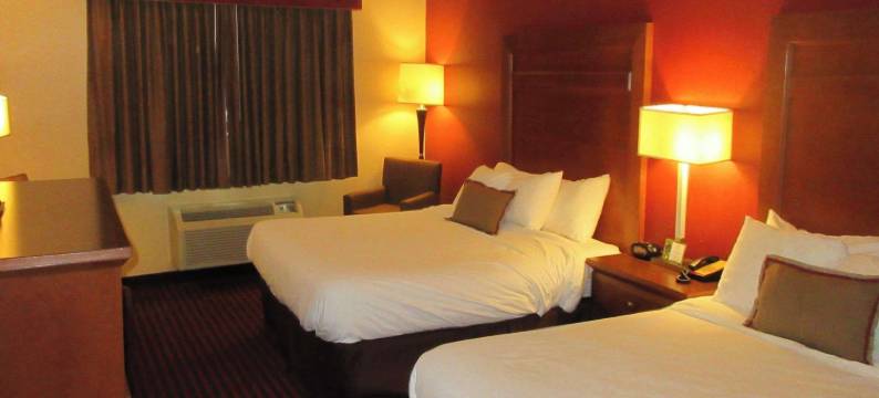 品质酒店及套房(Quality Inn & Suites)图片