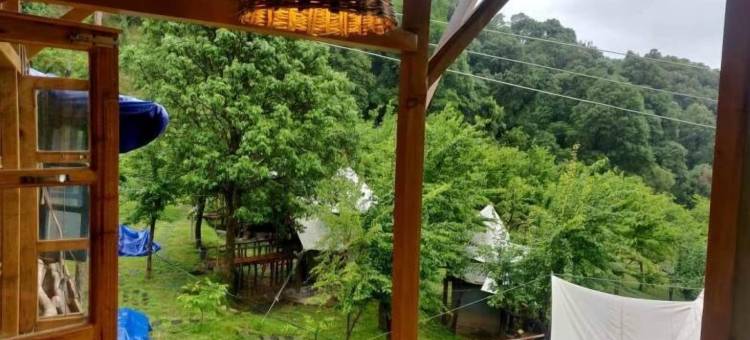 橡树景露营地(Camp Oak View)图片