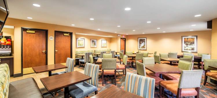 大学舒适酒店(Comfort Inn University)图片