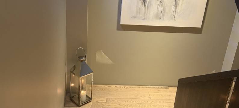 莲花酒店(Hotel Lotus)图片