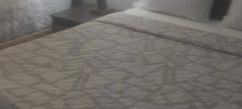 摄政旅馆(Regency Inn)图片