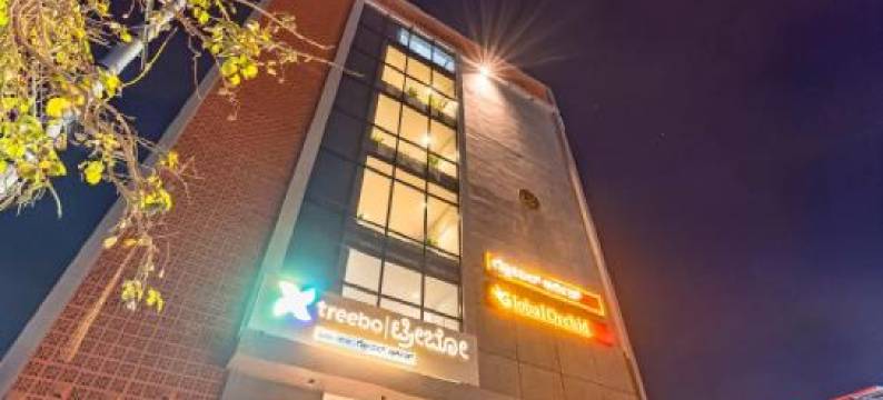 Treebo Global Orchid图片