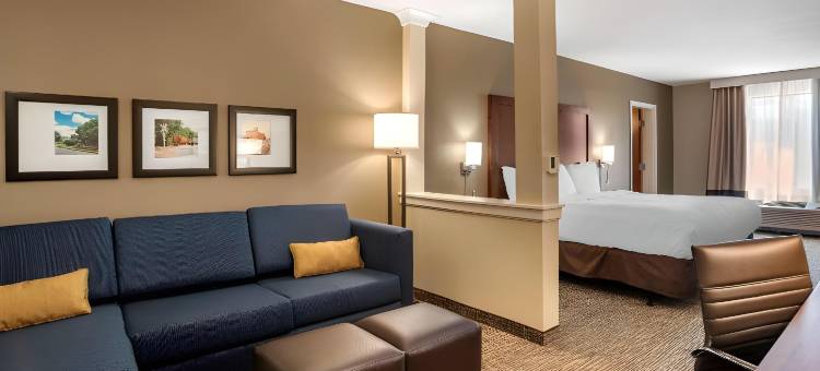 舒适套房酒店(Comfort Inn & Suites)图片