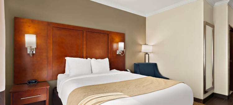 科珀斯克里斯蒂中央舒适套房酒店(Comfort Suites Central)图片