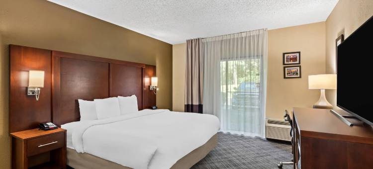 罗斯韦尔-邓伍迪舒适酒店(Comfort Inn Roswell-Dunwoody)图片