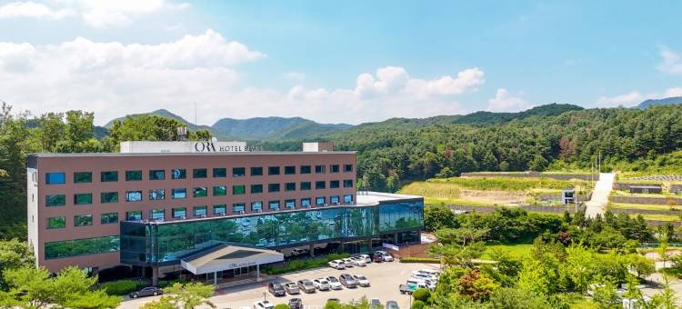 春川熊酒店(Chuncheon Bears Hotel)图片