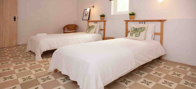 蒙特达斯奥利维拉斯(Monte Das Oliveiras)图片