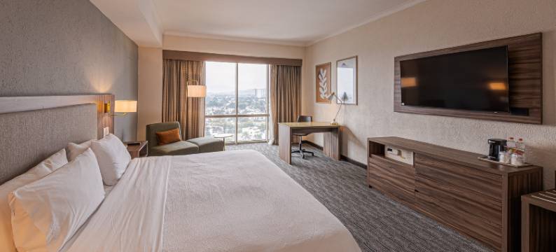 Holiday Inn 瓜达拉哈拉(Holiday Inn GUADALAJARA SELECT by IHG)图片