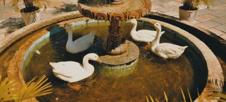 图尔班阿兰巴格度假村及水疗中心(Turban Aarambagh Resort and Spa)图片