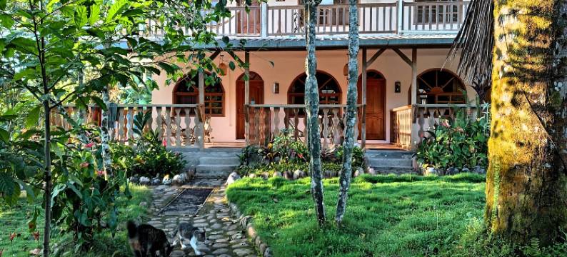 香蕉山林小屋(Banana Lodge)图片