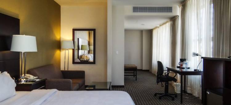 墨西哥城圣达菲假日酒店(Holiday Inn MEXICO SANTA FE by IHG)图片