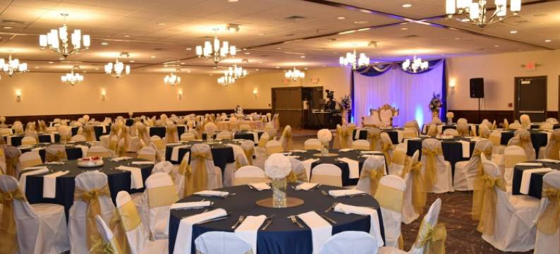 温德姆花园安阿伯酒店(Wyndham Garden Ann Arbor)图片