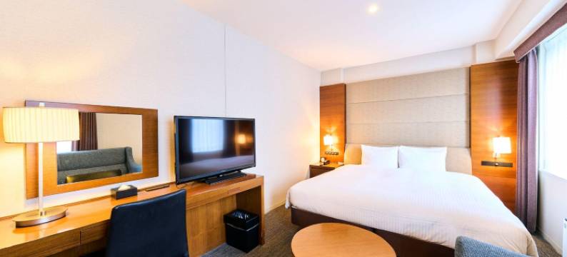 东京芝里士满酒店(Richmond Hotel Tokyo Shiba)图片