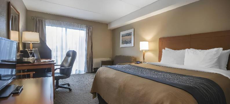 舒适酒店(Comfort Inn)图片