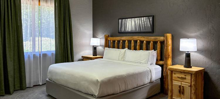 希尔顿俱乐部石水湾壳钮布度假村(Hilton Grand Vacations Club Stonewater Cove Shell Knob)图片