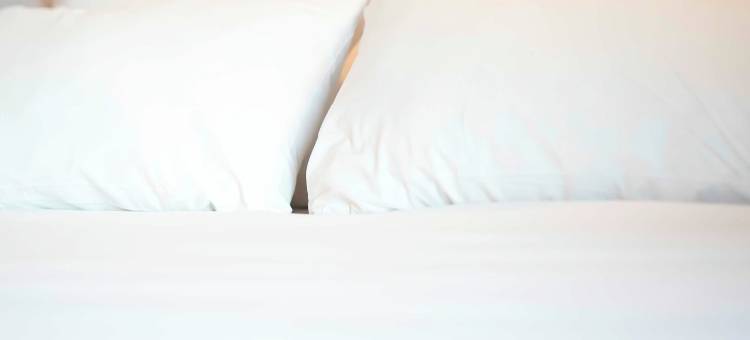 民宿酒店雷恩利夫雷(B&B HOTEL Rennes Liffré)图片