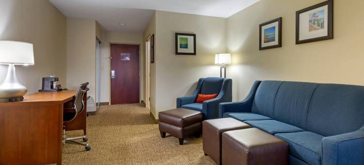 剑桥套房舒适酒店(Comfort Inn & Suites Cambridge)图片