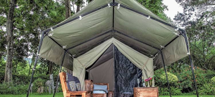 非洲野生动物园 马尼亚拉断崖露营(Africa Safari Manyara Escarpment Camping)图片
