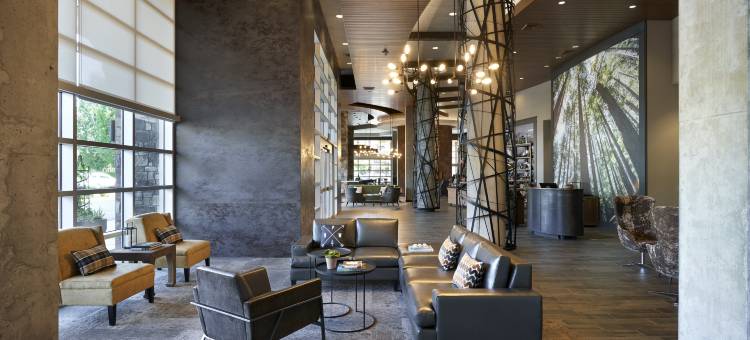 西雅图雷德蒙德弓箭手酒店(Archer Hotel Seattle/Redmond)图片