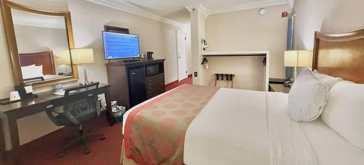 凯隆酒店及套房(Clarion Hotel & Suites)图片