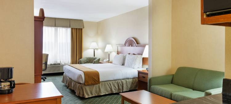 锡拉科加洲际智选假日套房酒店(Holiday Inn Express & Suites Sylacauga by IHG)图片