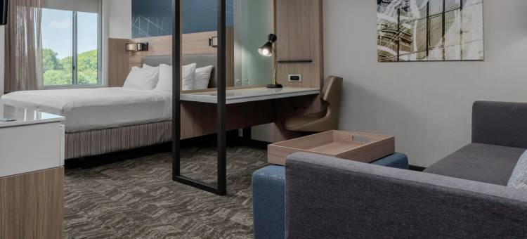 夏洛特亨特斯维尔SpringHill Suites酒店(SpringHill Suites Charlotte Huntersville)图片