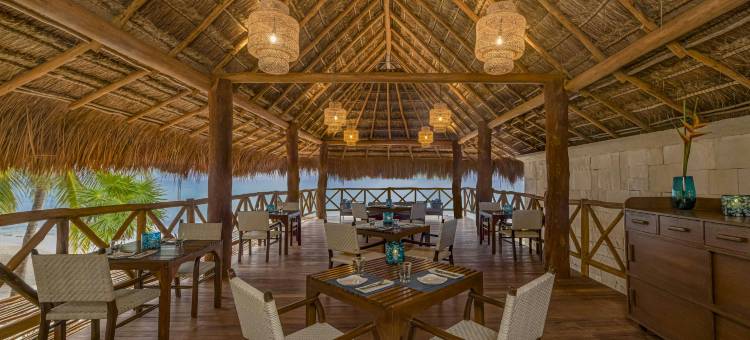 玛雅海滨维瑟洛伊奢华别墅度假村(Viceroy Riviera Maya)图片