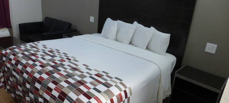 科珀斯克里斯蒂北红屋顶酒店 - 近市中心(Red Roof Inn Corpus Christi North - Near Downtown)图片