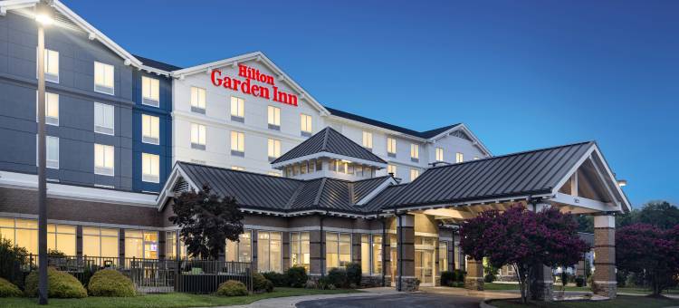 切萨皮克萨福克希尔顿花园酒店(Hilton Garden Inn Chesapeake/Suffolk)图片