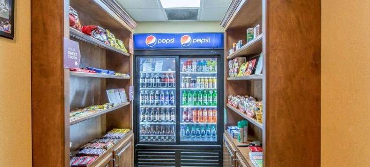 东部舒适套房酒店(Comfort Suites East)图片