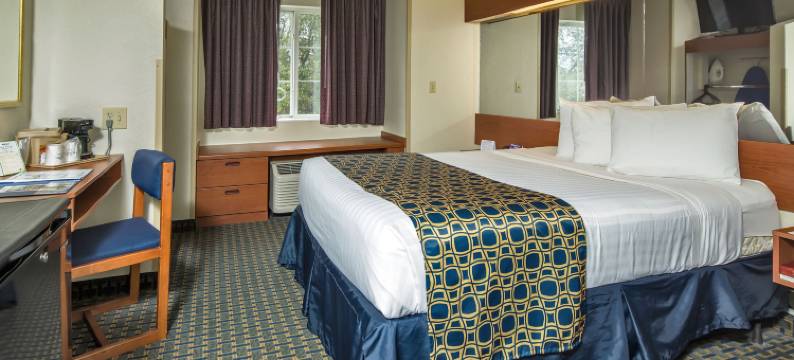 利物浦-多拉山麦客达套房酒店(Microtel Inn & Suites by Wyndham Leesburg/Mt Dora)图片