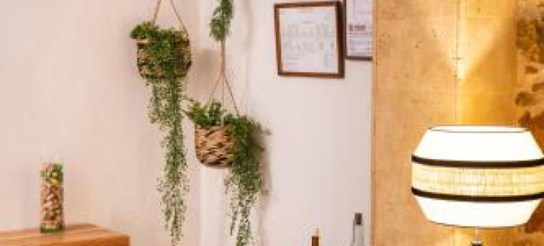 莫林斯特雷斯青年旅馆(Hostal Tres Molins)图片