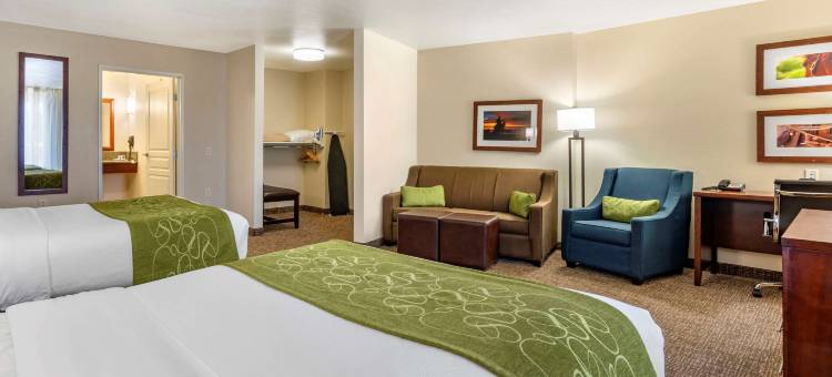 舒适套房酒店-弗恩利(Comfort Suites Fernley)图片