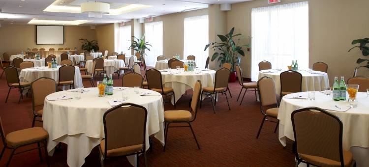 Holiday Inn & Suites 蒙特利尔机场(Holiday Inn & Suites Montreal Airport)图片
