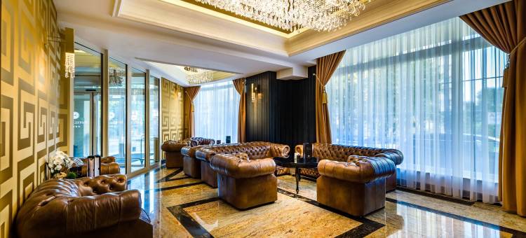 达纳商务与会议酒店(Hotel Dana Business & Conference)图片