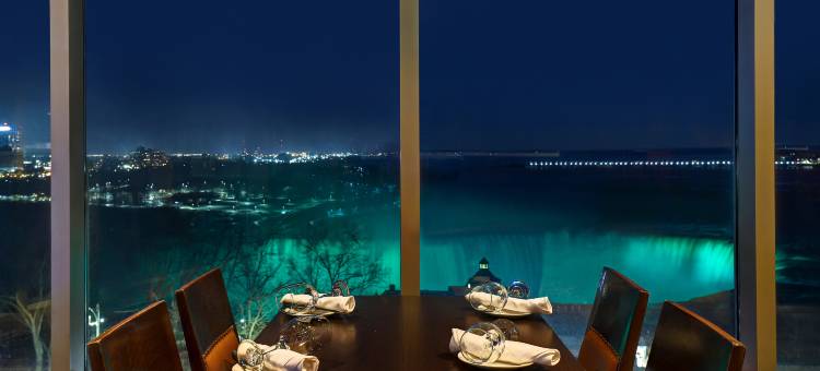 尼亚加拉瀑布/瀑景希尔顿安泊酒店(Embassy Suites by Hilton Niagara Falls/ Fallsview)图片