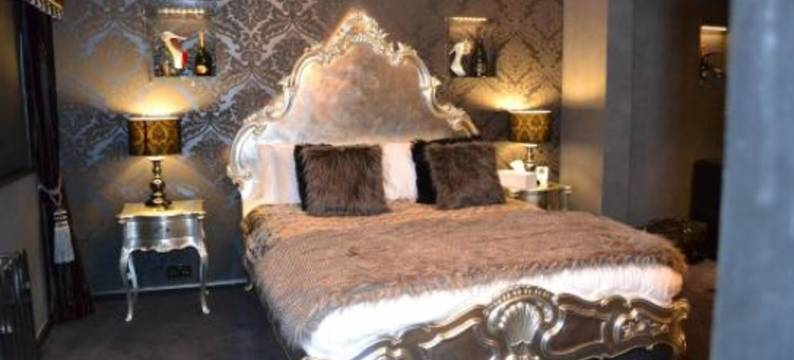 惊喜酒店(Who'd A Thought It)图片