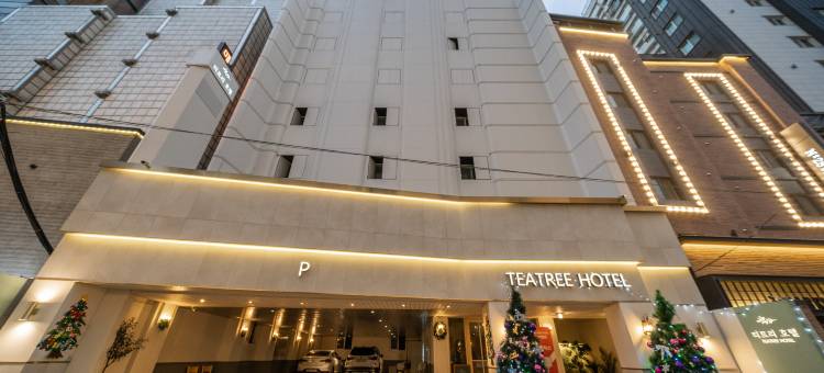 茶树酒店(TeaTree Hotel)图片