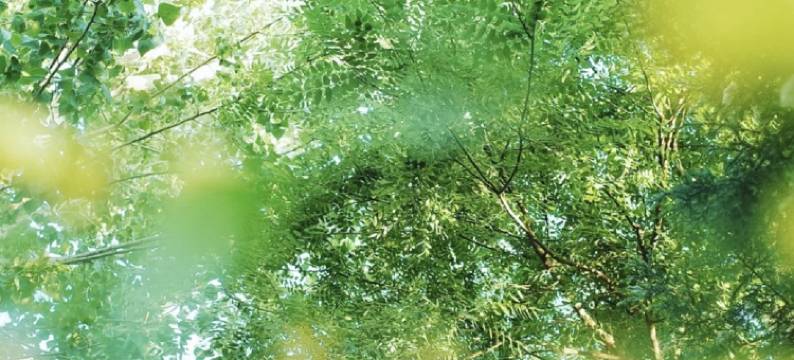 蓝天白云啦公寓(白桦东路分店)图片